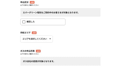 お申し込みフォーム入力イメージ