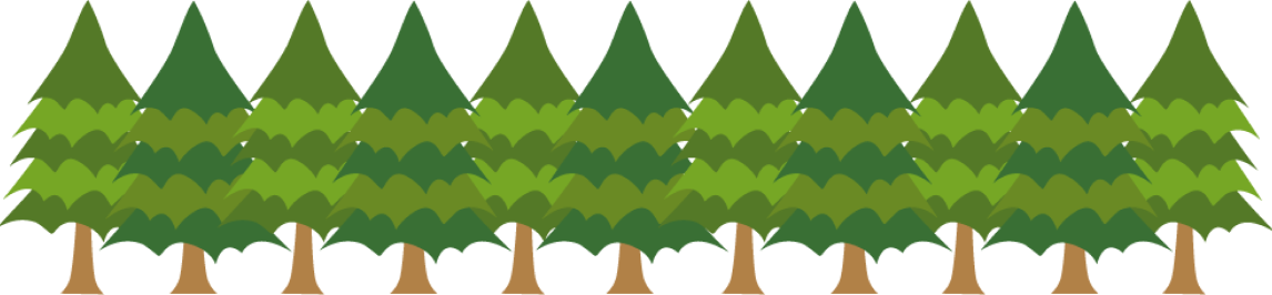 杉の木11本分の植林効果！