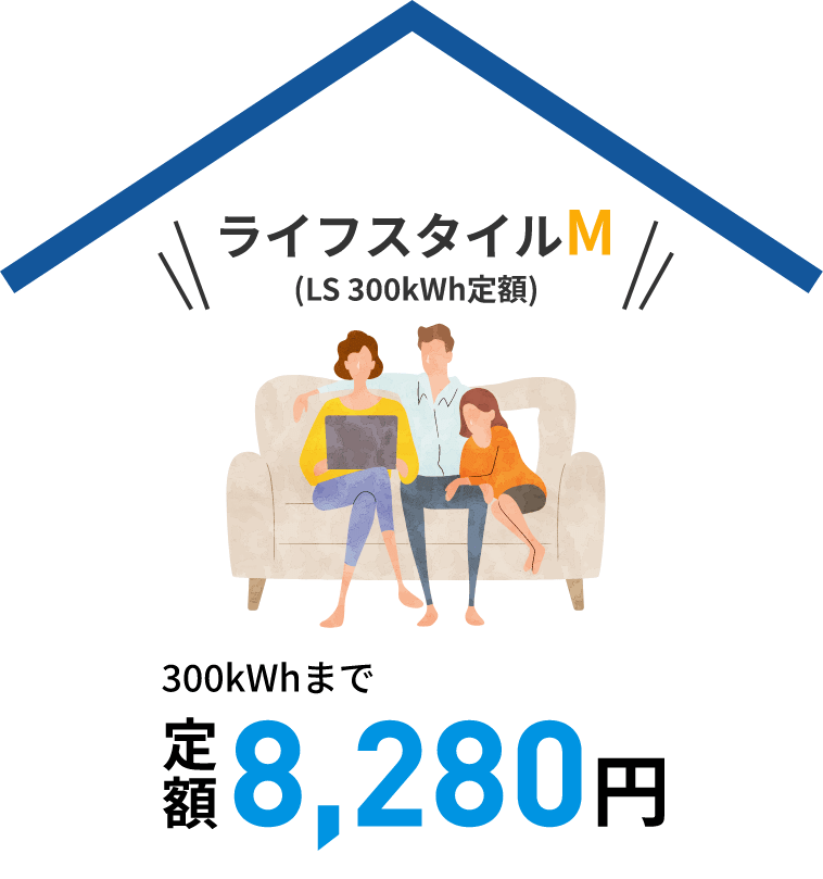 ライフスタイルM(LS 300kWh定額) 300kWhまで定額8,280円
