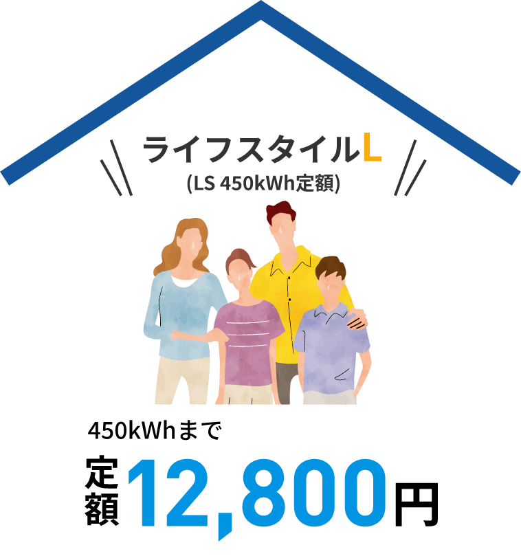 ライフスタイルL(LS 450kWh定額) 450kWhまで定額12,800円