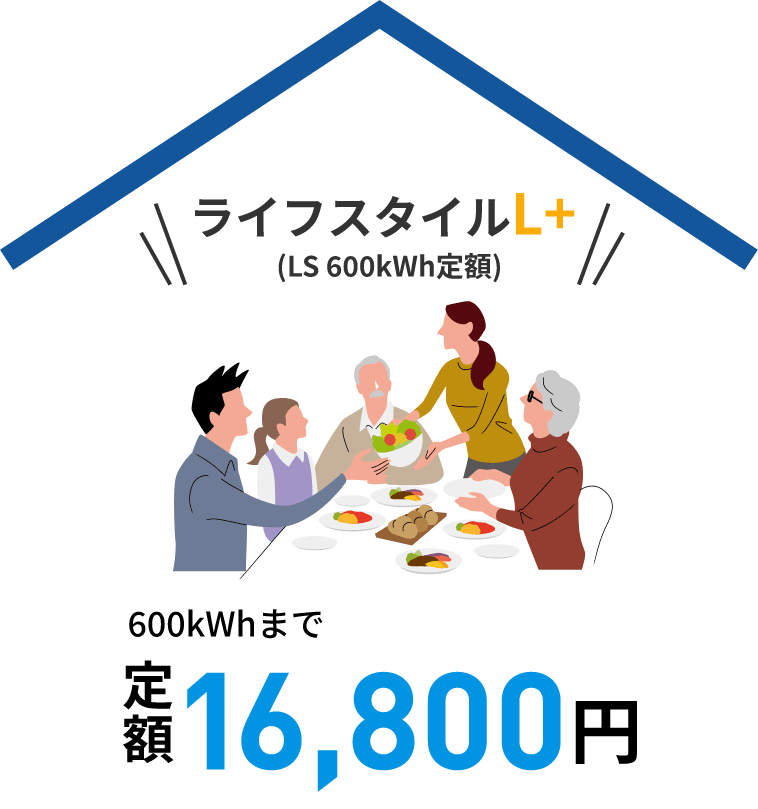 ライフスタイルL+(LS 600kWh定額) 600kWhまで定額16,800円