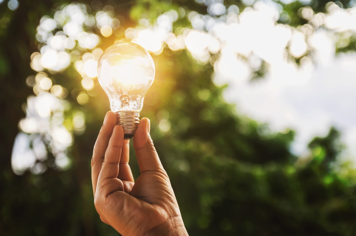 自然光を背景に手で電球を掲げる持続可能なエネルギーの象徴的なイメージ