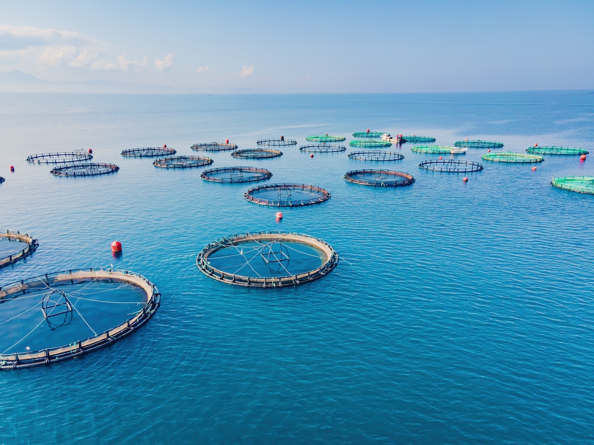 海に浮かぶ円形の魚の養殖施設、持続可能な水産業のイメージ