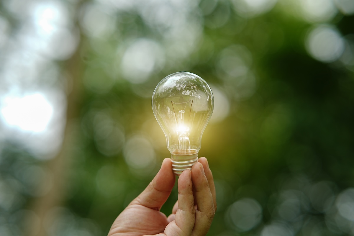 森林の中で光る電球を手に持つ、再生可能エネルギーや環境に優しいアイデアの象徴