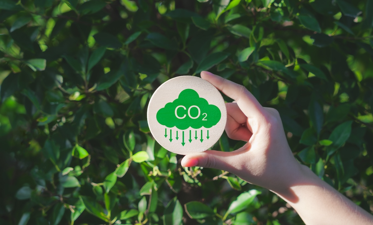CO2削減を象徴するアイコンが描かれた木製円盤を持つ手元のクローズアップ