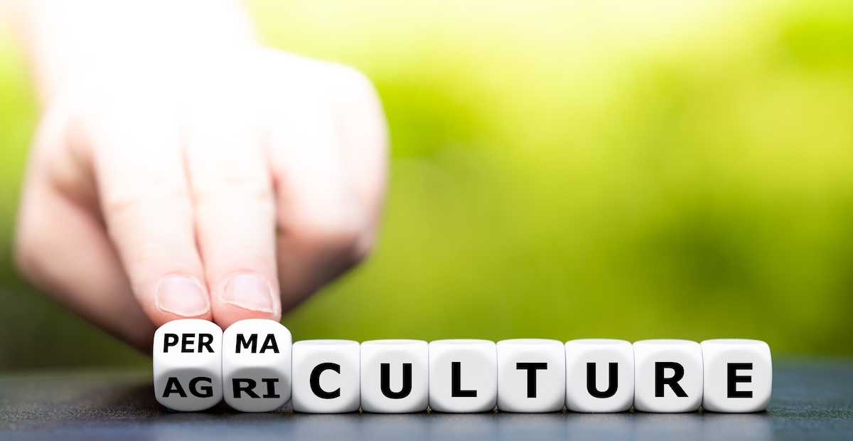 「PERMACULTURE」と書かれたキューブを並べる手元。持続可能な農業と暮らしを表す概念イメージ。