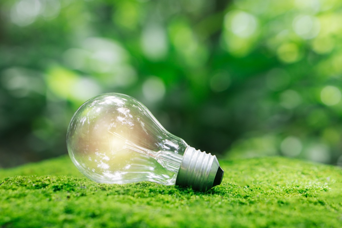 緑の苔の上に横たわる電球。自然環境と電力・エネルギーの関わりを示すイメージ画像。