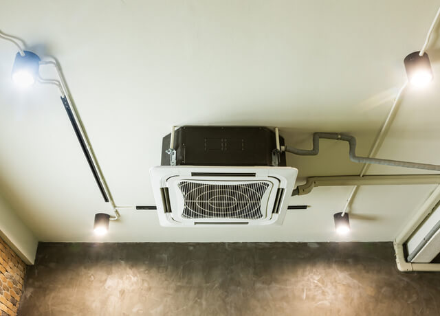 EG_318_3.jpg